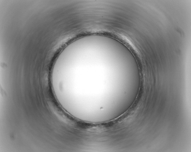 X0000091370447200708101117