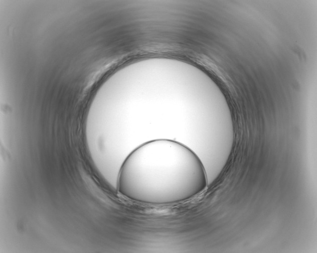 X0000091370448200708101117