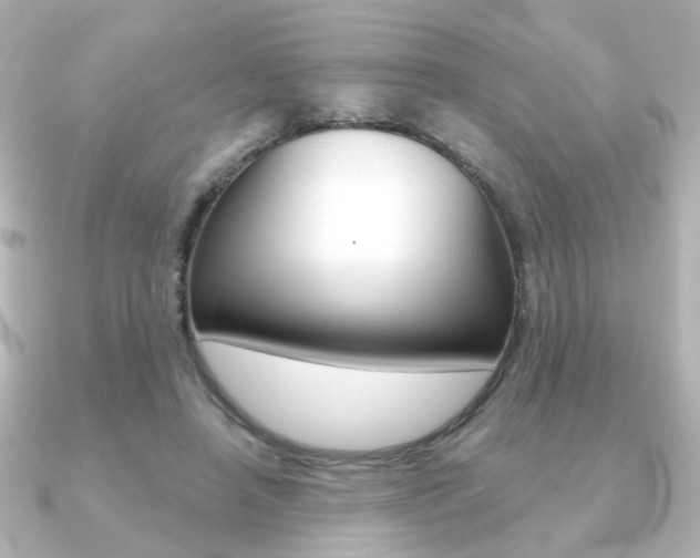 X0000091370450200708101117