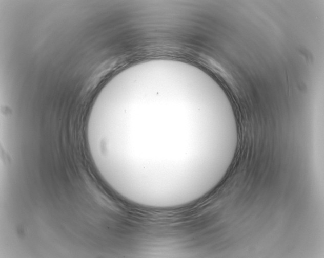 X0000091370452200708101117