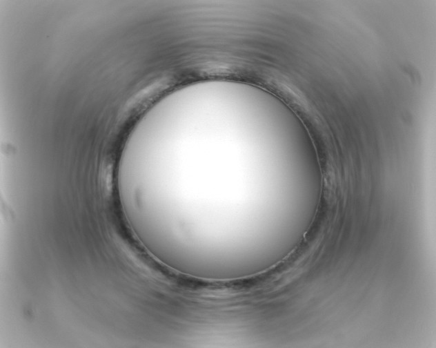 X0000091370454200708101117