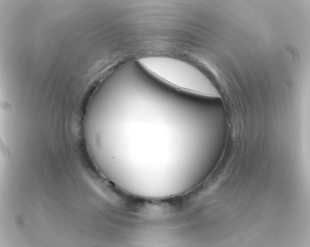 X0000091370455200708101117