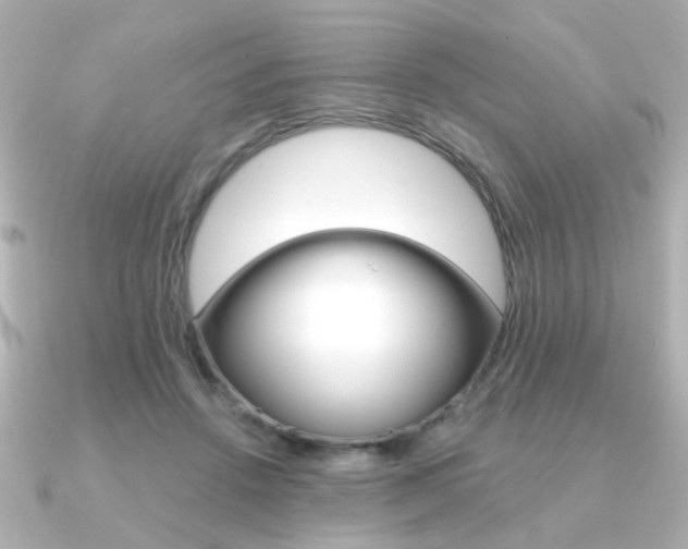 X0000091370456200708101117