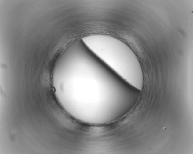 X0000091370457200708101117