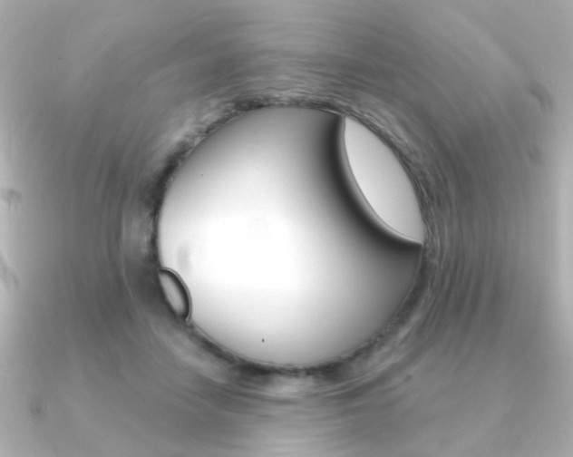 X0000091370458200708101117