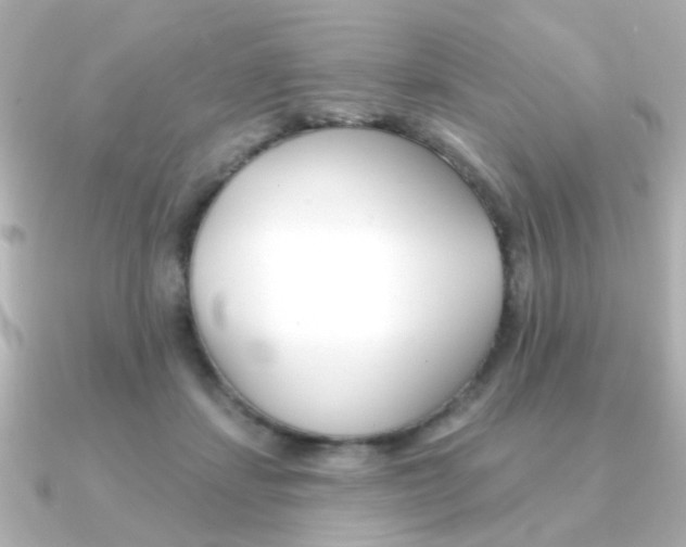 X0000091370459200708101117