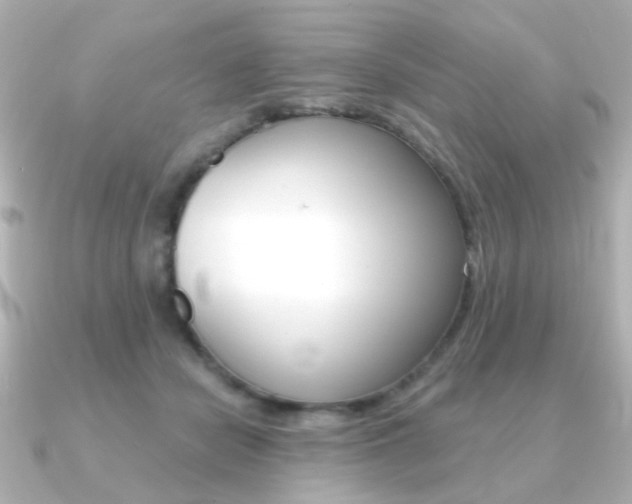 X0000091370462200708101117