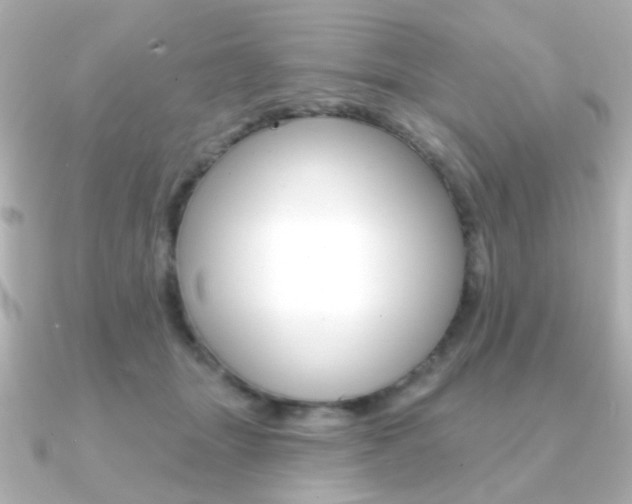 X0000091370463200708101117