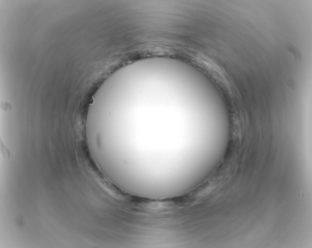 X0000091370465200708101117