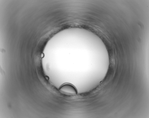 X0000091370468200708101118