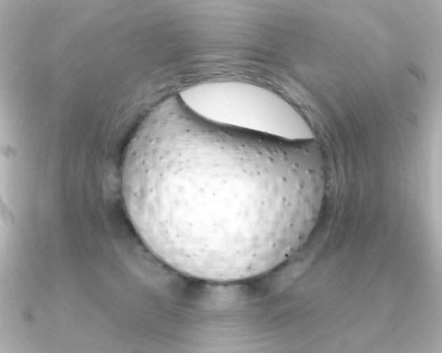 X0000091370469200708101118
