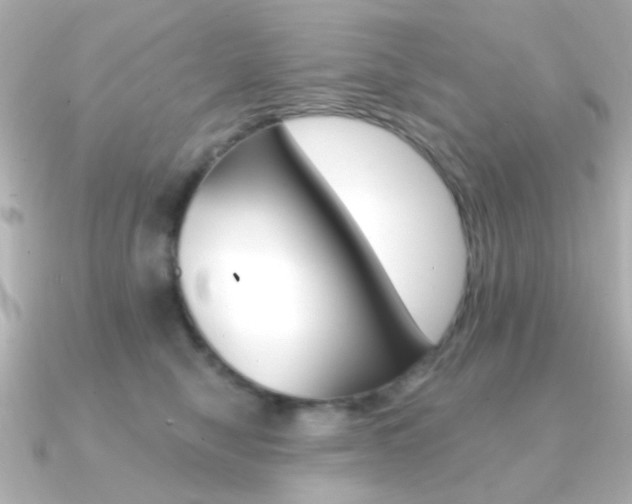 X0000091370470200708101118