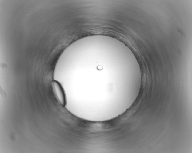 X0000091370473200708101118