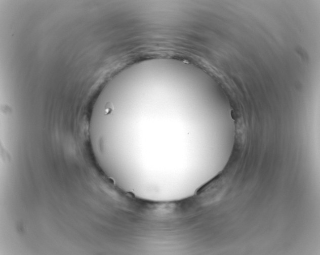 X0000091370474200708101118