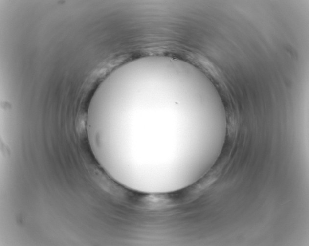 X0000091370477200708101118