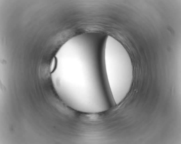 X0000091370478200708101118