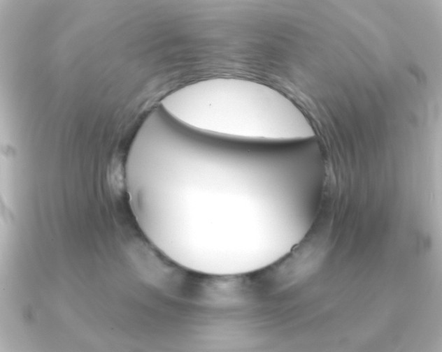 X0000091370479200708101118