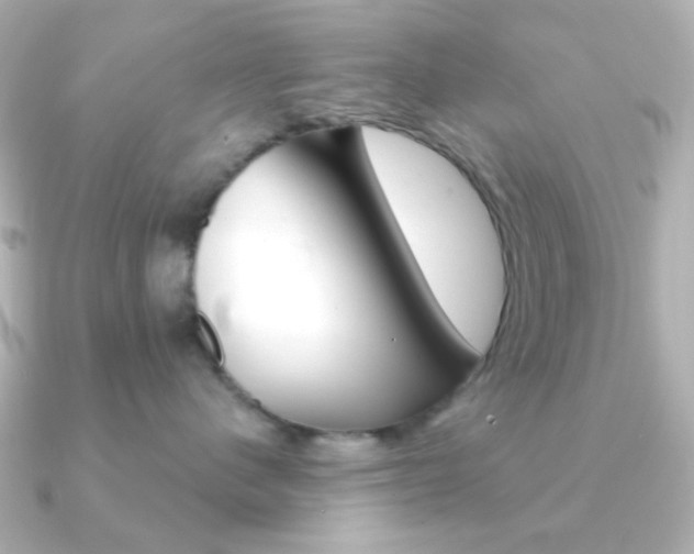 X0000091370480200708101118