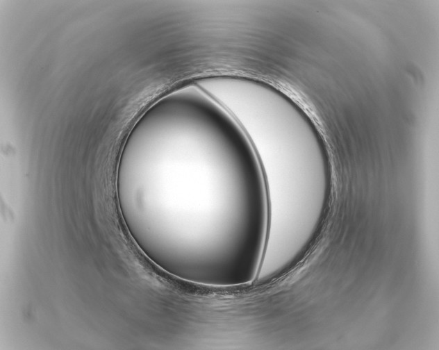 X0000091370481200708101117