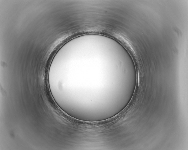 X0000091370483200708101117