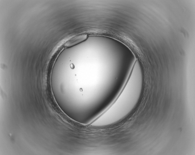 X0000091370484200708101117