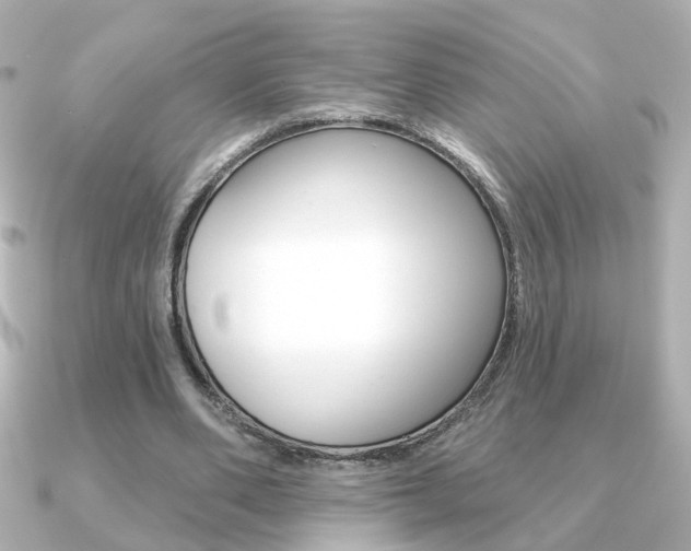 X0000091370486200708101117