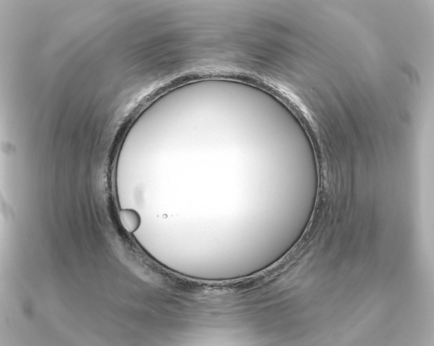 X0000091370487200708101117