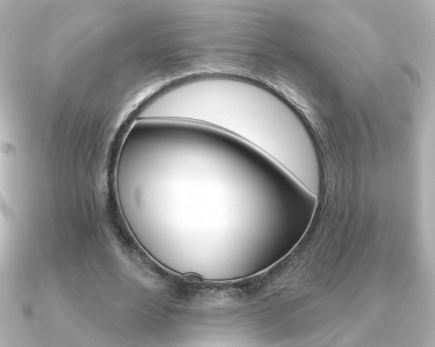 X0000091370488200708101117