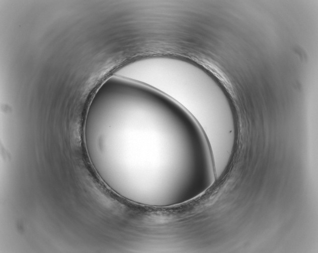X0000091370489200708101117
