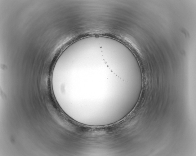 X0000091370491200708101117