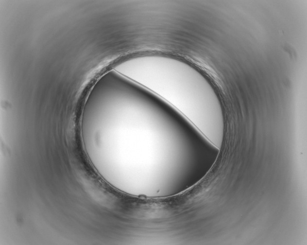 X0000091370492200708101117