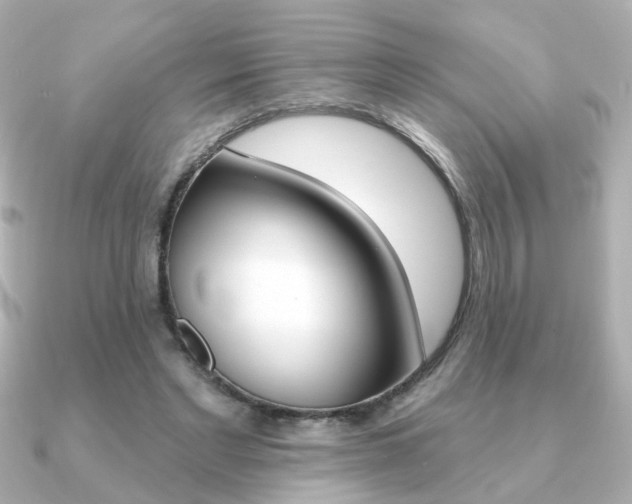 X0000091370493200708101117