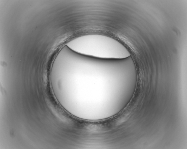 X0000091370494200708101117