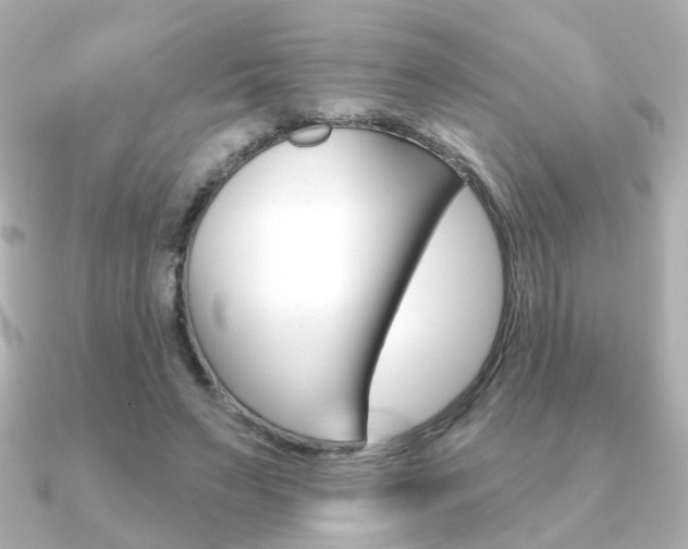 X0000091370495200708101117