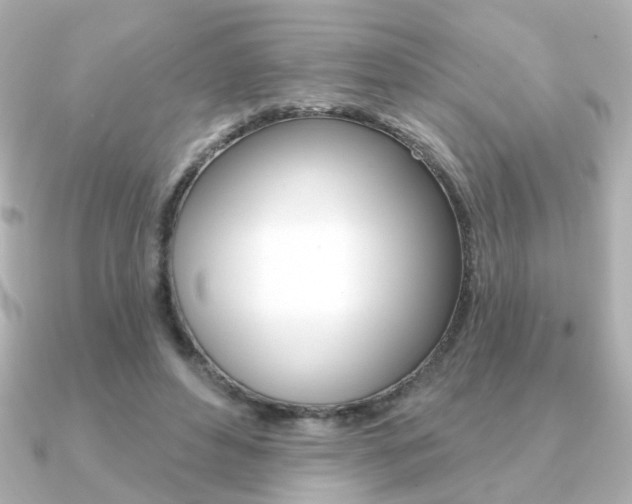 X0000091370496200708101117