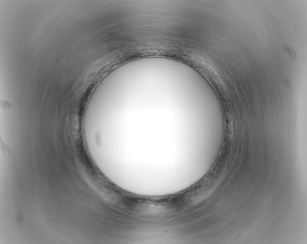 X0000091370498200708101117