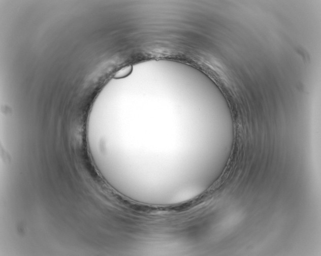 X0000091370499200708101117