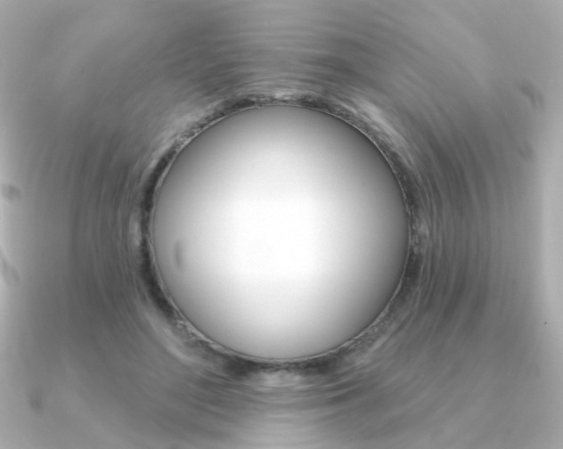 X0000091370500200708101117