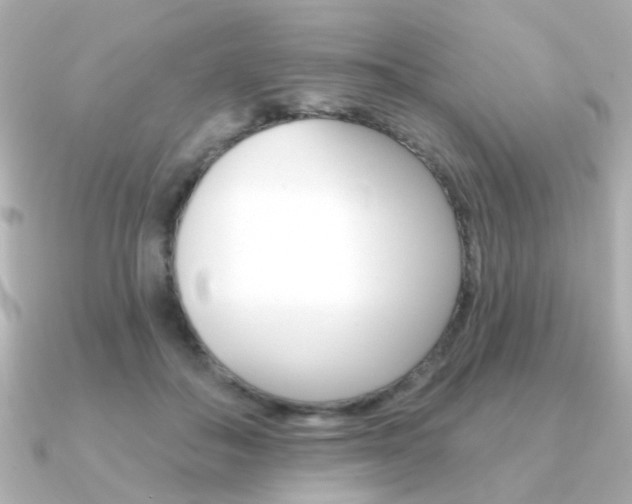 X0000091370506200708101117