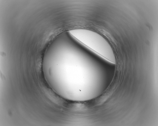 X0000091370509200708101117