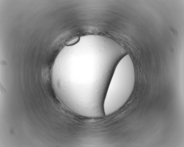 X0000091370511200708101117