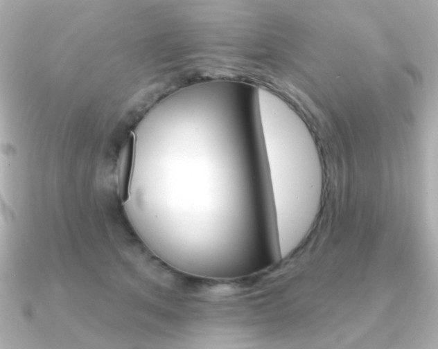 X0000091370513200708101117