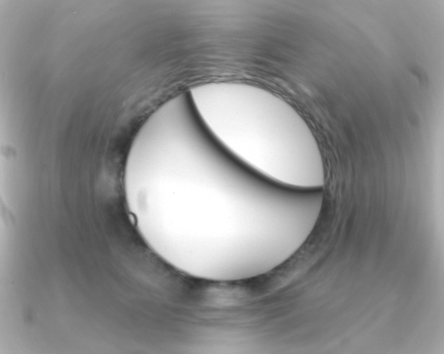 X0000091370515200708101117