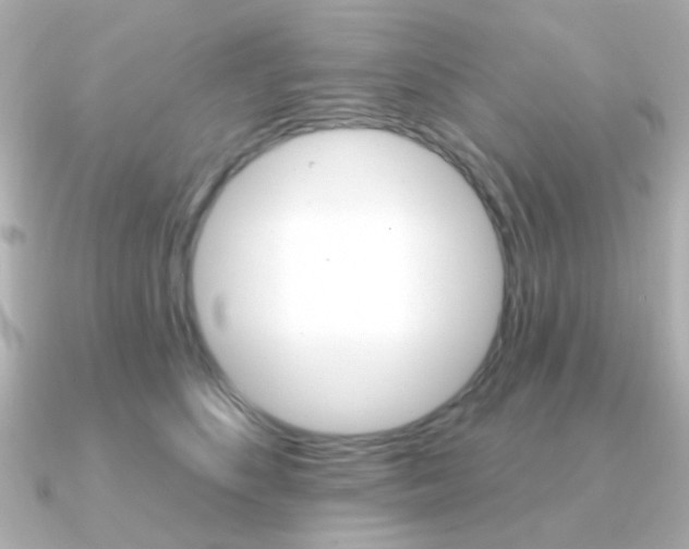 X0000091370516200708101117