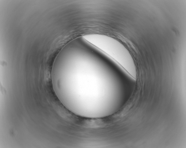 X0000091370517200708101117