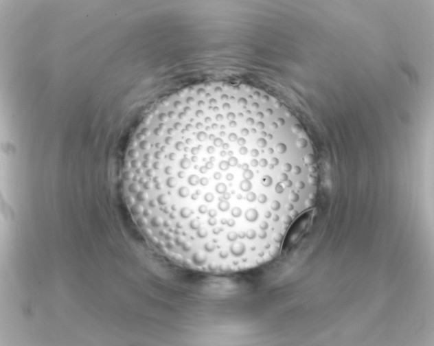 X0000091370519200708101117
