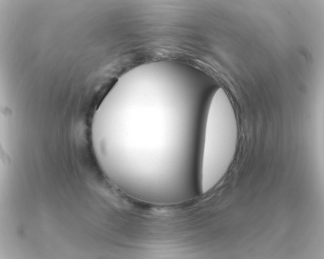 X0000091370520200708101117