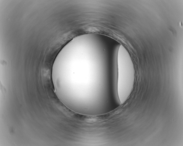 X0000091370521200708101117