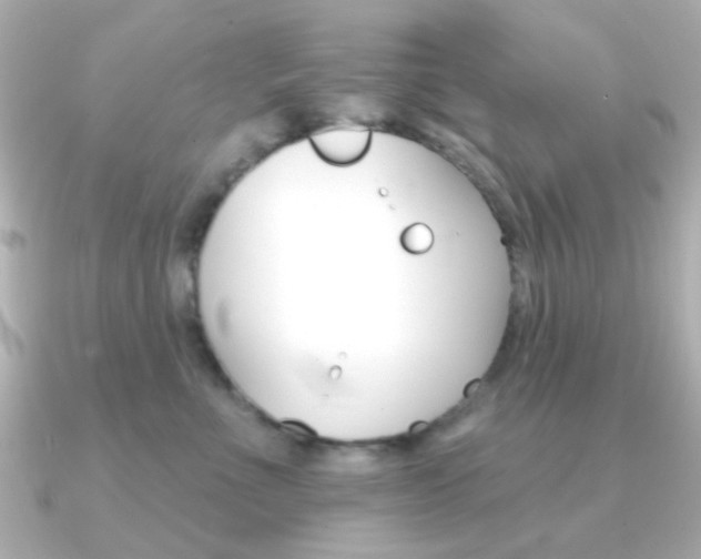 X0000091370523200708101117