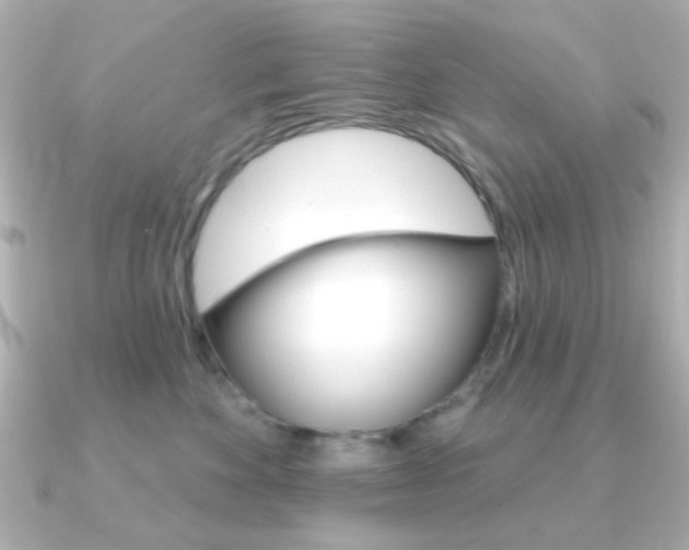 X0000091370524200708101117